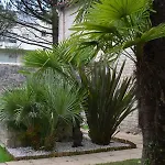 Le Petit Bois